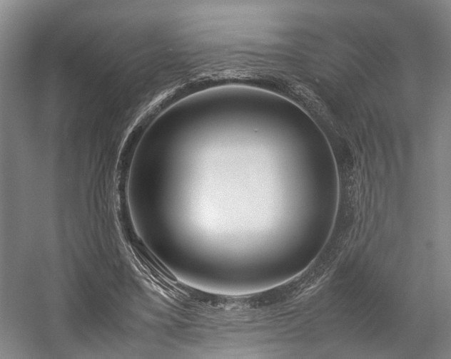 X0000058110395200509231031