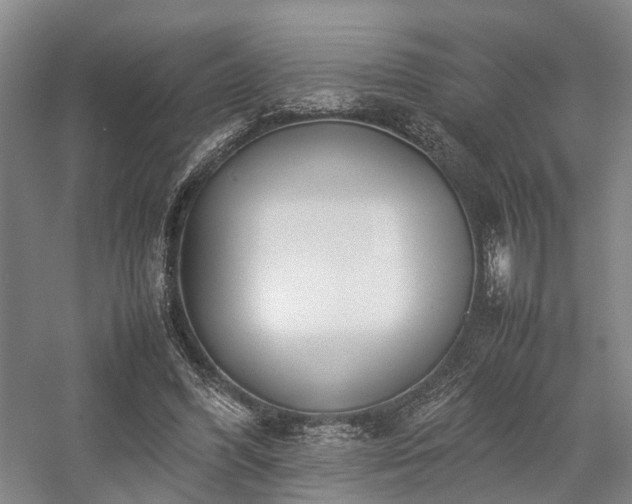 X0000058110396200509231031