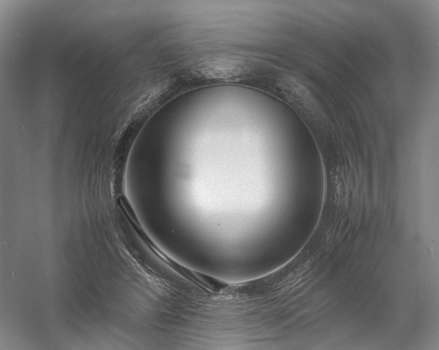 X0000058110404200509231031