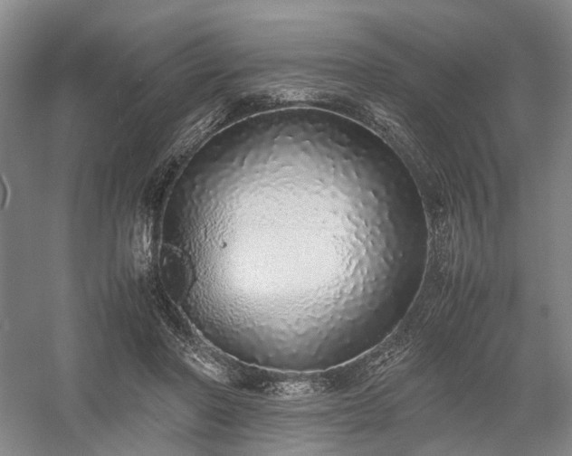 X0000058110406200509231031