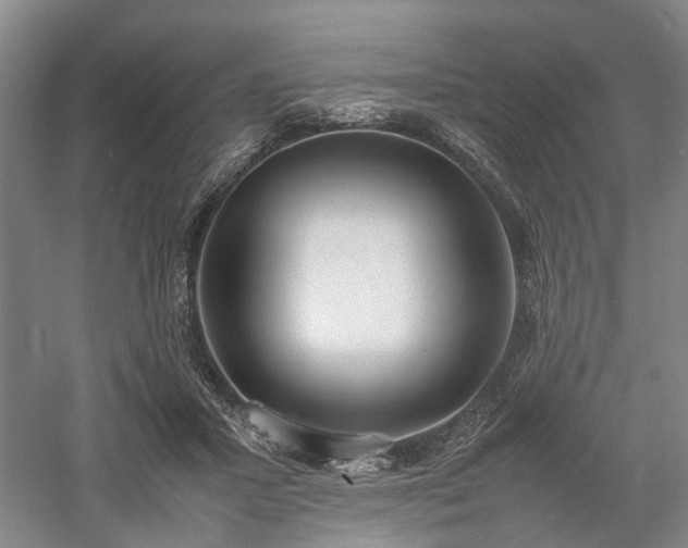 X0000058110407200509231031