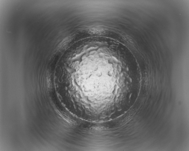 X0000058110408200509231031