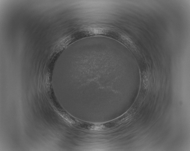 X0000058110410200509231031