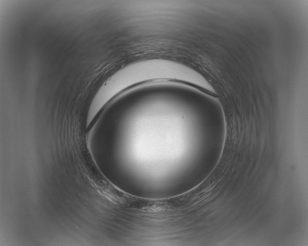 X0000058110412200509231031
