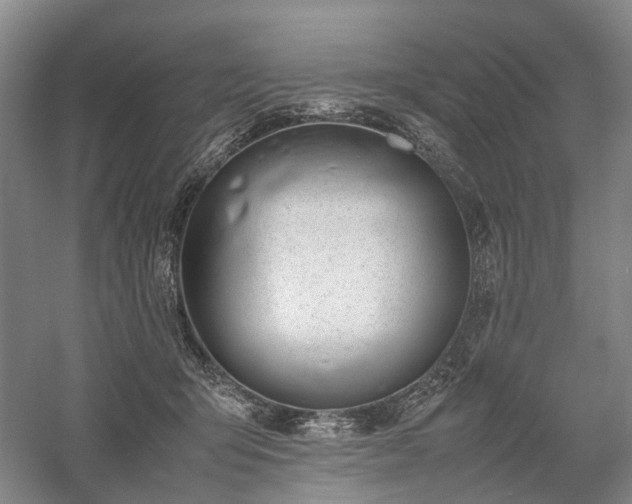 X0000058110415200509231031