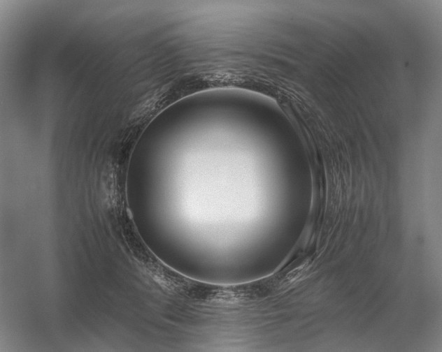 X0000058110416200509231031