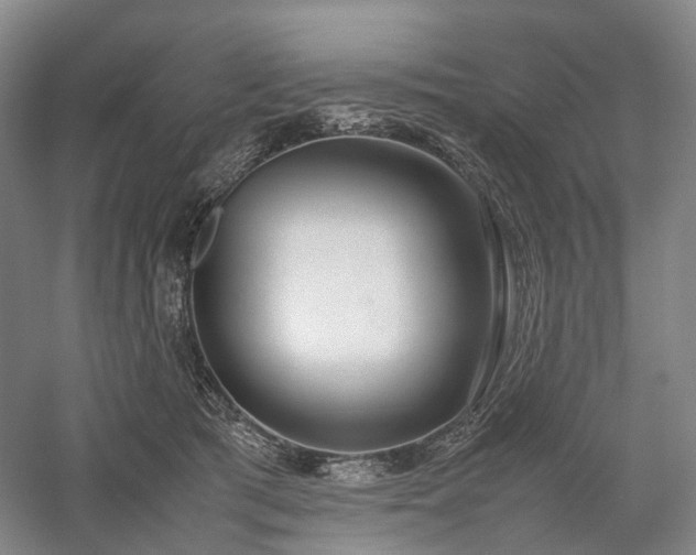 X0000058110417200509231031