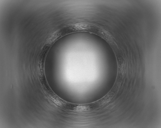 X0000058110418200509231031