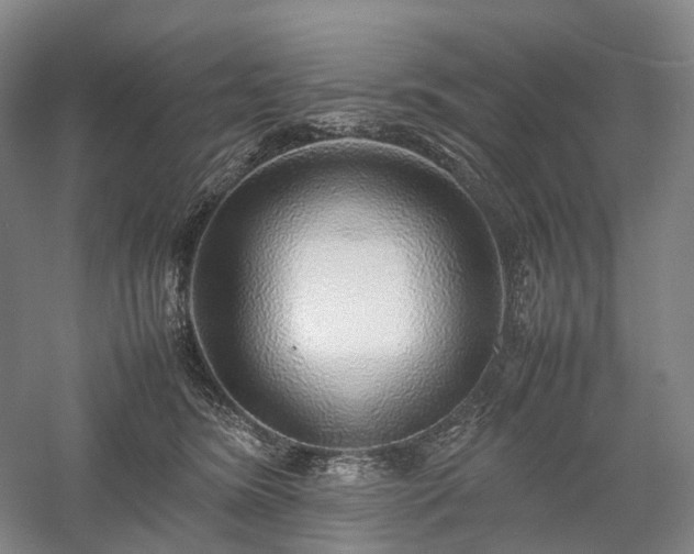 X0000058110420200509231031