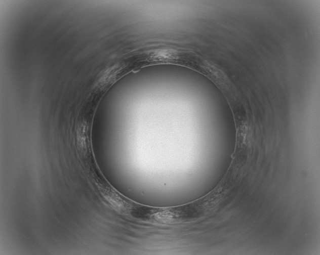 X0000058110423200509231031