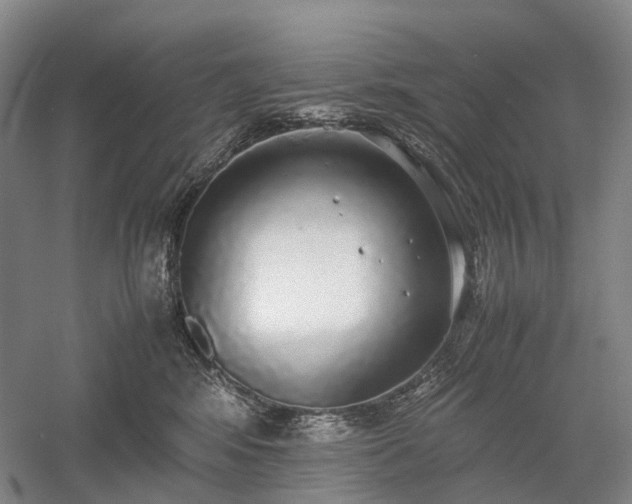 X0000058110424200509231031