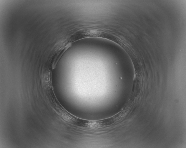X0000058110425200509231031