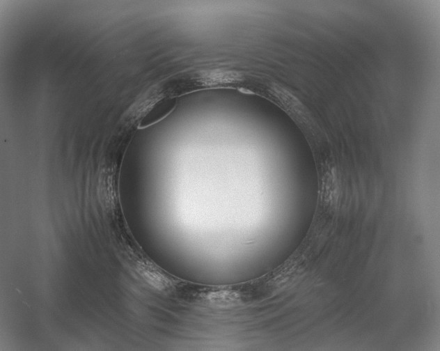 X0000058110426200509231031