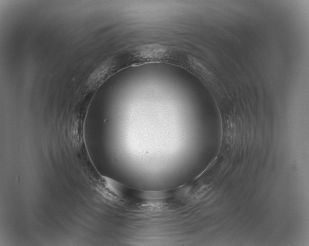 X0000058110428200509231031