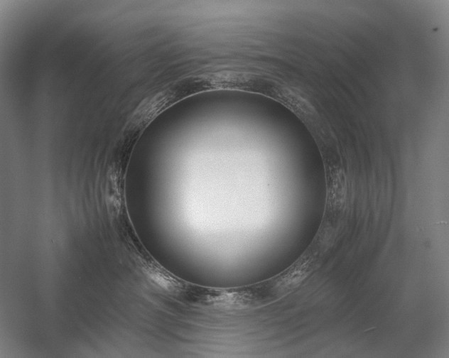 X0000058110430200509231031