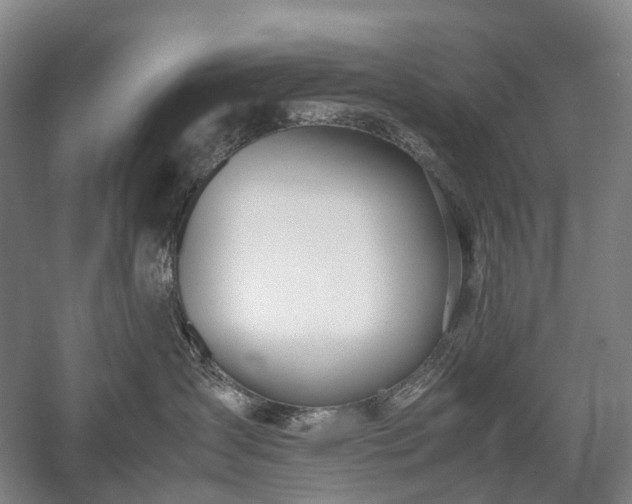 X0000058110431200509231031