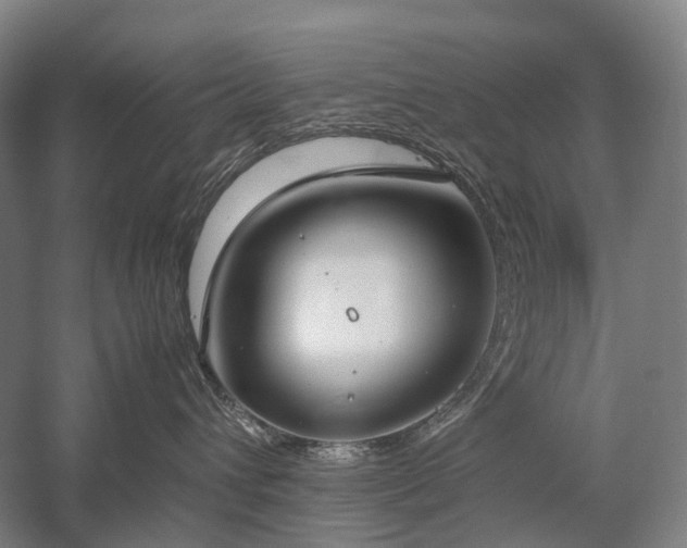 X0000058110432200509231031