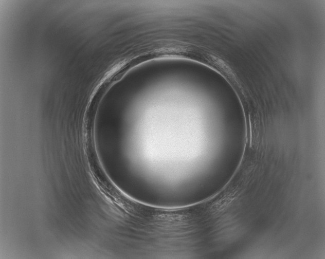 X0000058110435200509231030