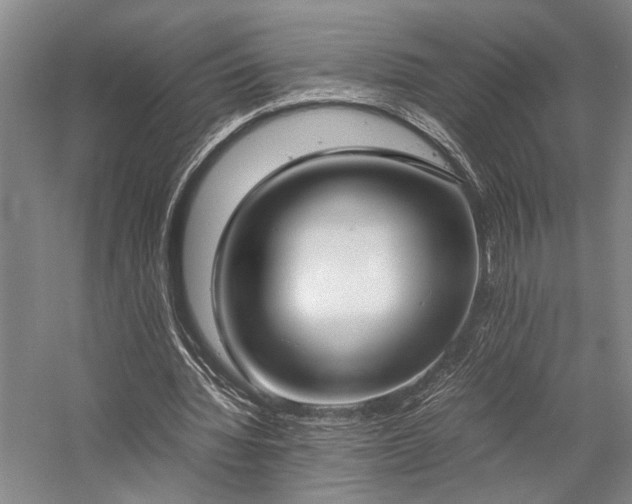 X0000058110436200509231030