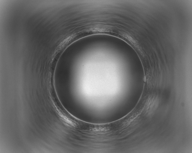 X0000058110445200509231030