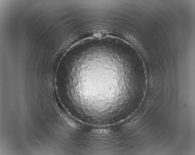 X0000058110449200509231030