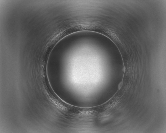 X0000058110450200509231030