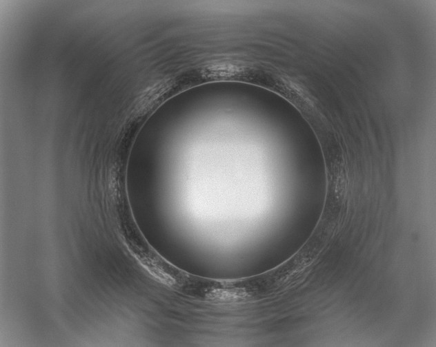 X0000058110455200509231030