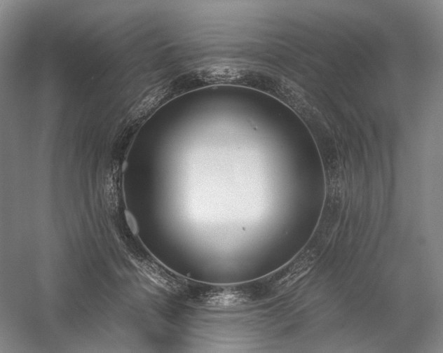 X0000058110460200509231030