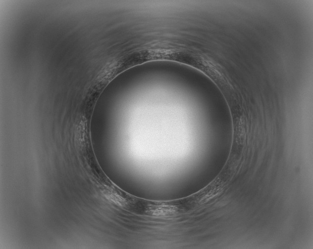 X0000058110463200509231030
