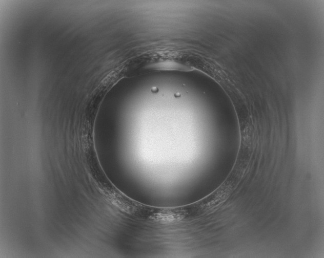 X0000058110464200509231030