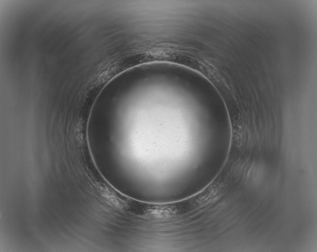 X0000058110466200509231030