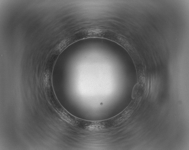 X0000058110468200509231031