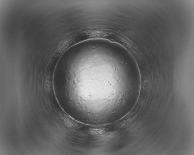 X0000058110469200509231031
