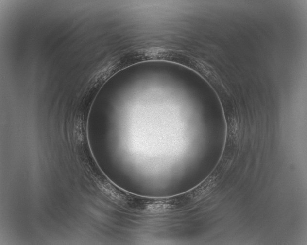 X0000058110470200509231031