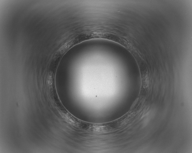 X0000058110472200509231031