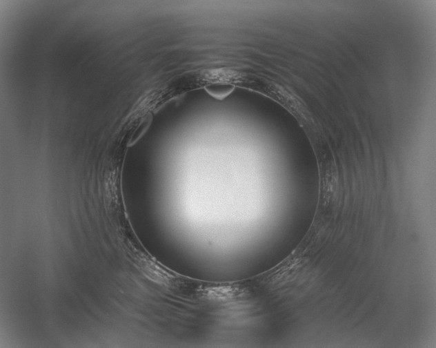 X0000058110473200509231031