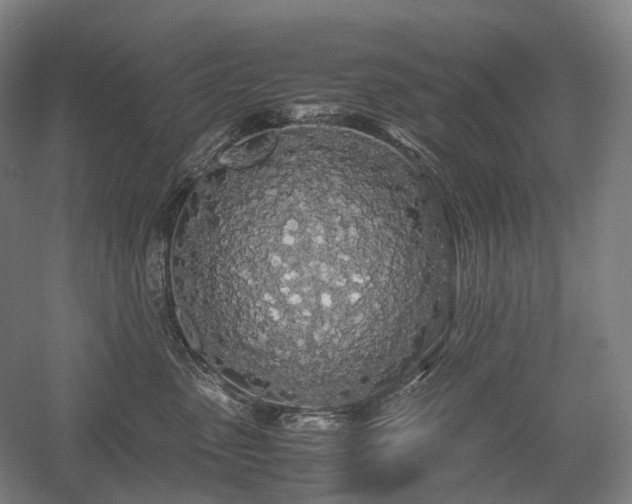 X0000058110475200509231031