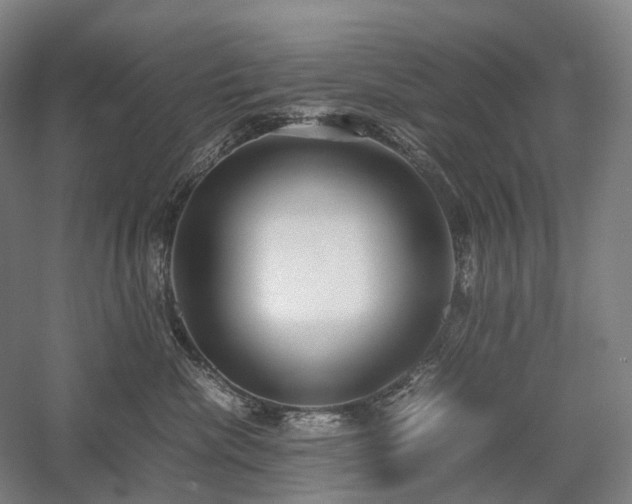 X0000058110476200509231031