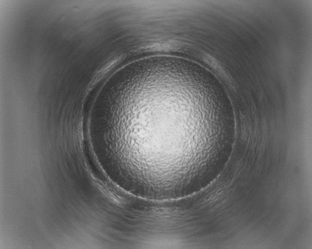 X0000058110486200509231030
