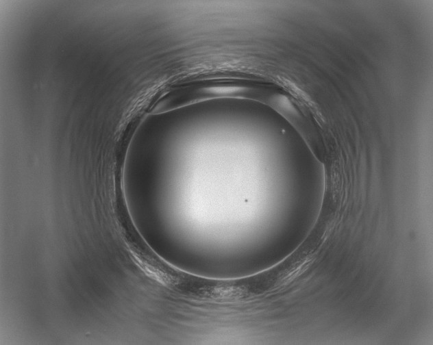 X0000058110493200509231030