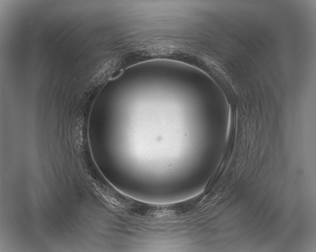 X0000058110501200509231030