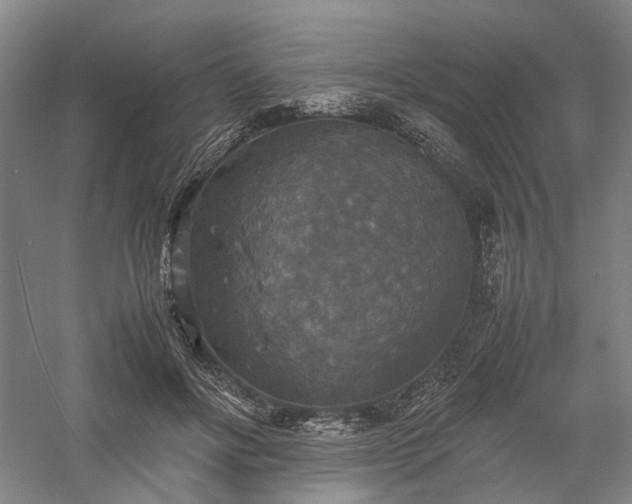 X0000058110502200509231030