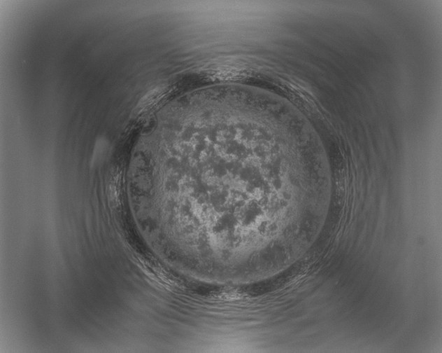 X0000058110503200509231030