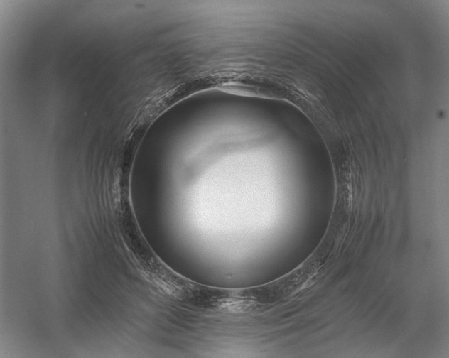 X0000058110504200509231030