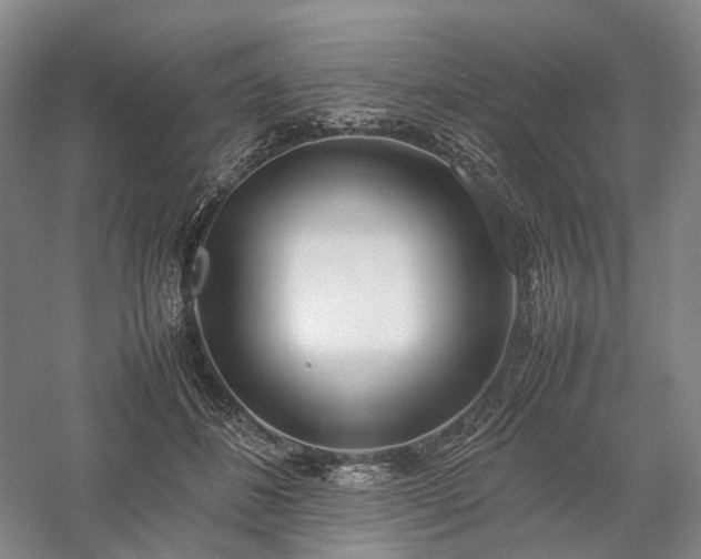 X0000058110508200509231029