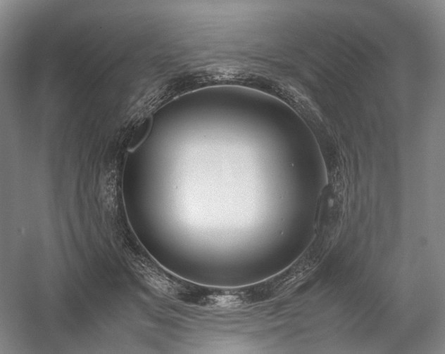 X0000058110509200509231029
