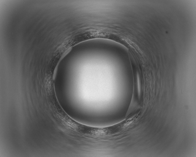 X0000058110513200509231029