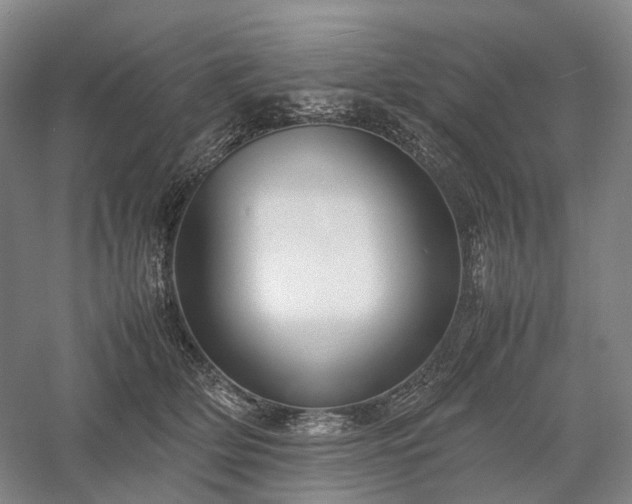 X0000058110514200509231029
