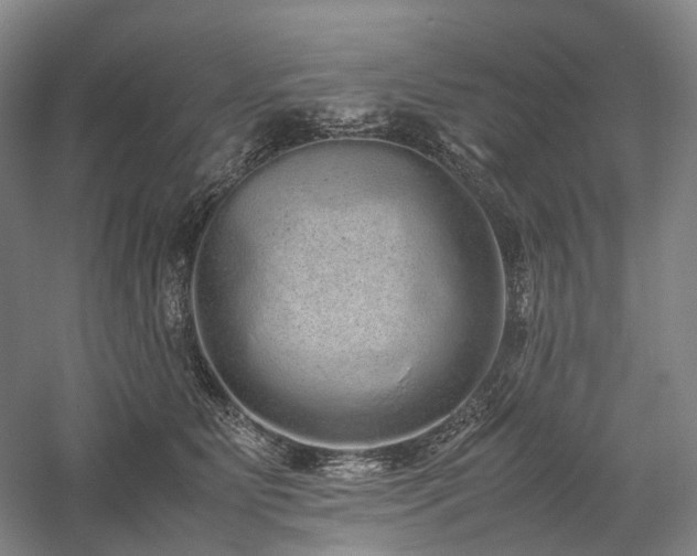 X0000058110515200509231029