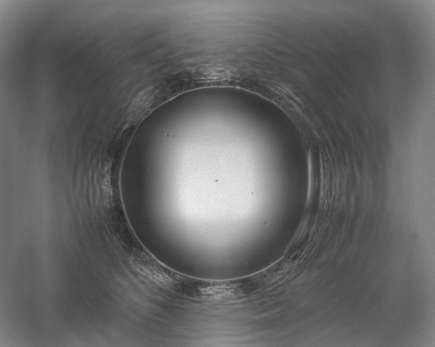 X0000058110516200509231029